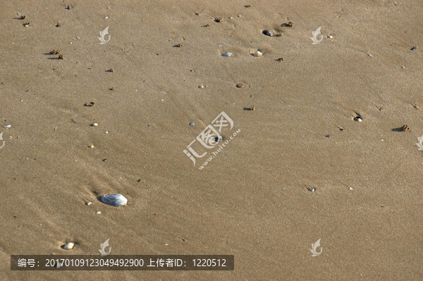 紋理的海灘