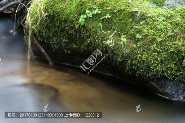 流和長滿青苔的石頭