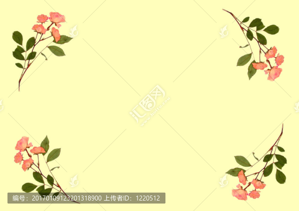 按Pink,Roses