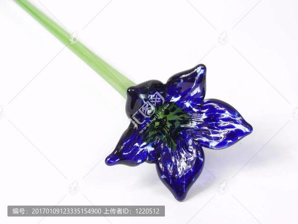 藍色的花