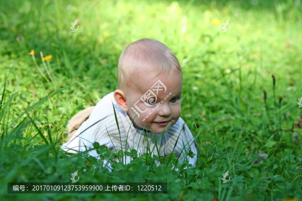寶寶在草