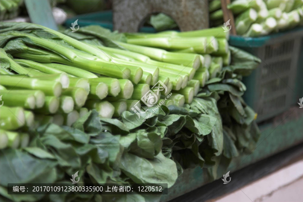 蔬菜銷售