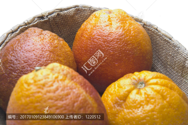 血橙