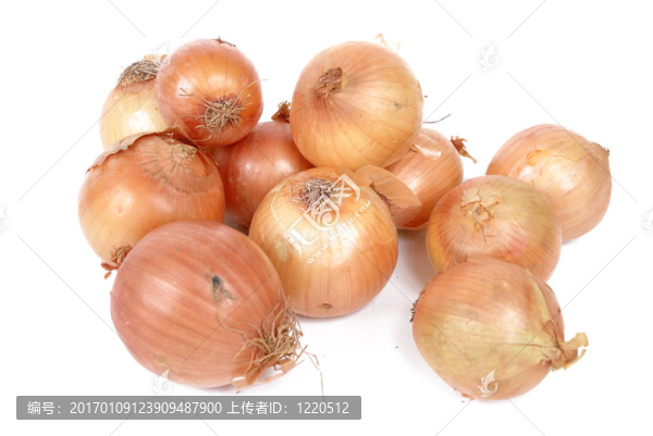 洋蔥