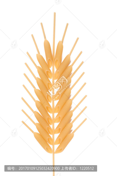 玉米穗