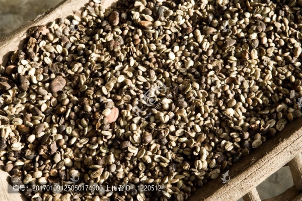 咖啡豆-匯圖網(wǎng) www.fosd68.com 咖啡豆