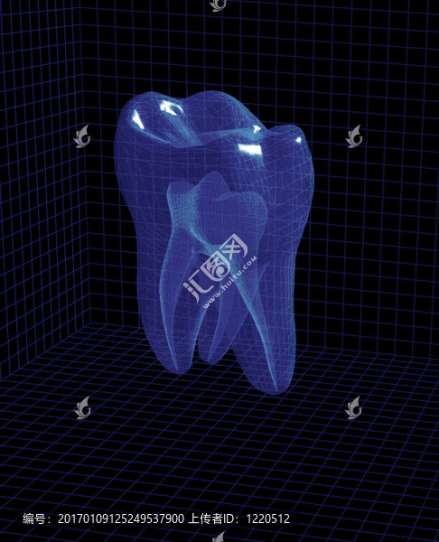 3D齒
