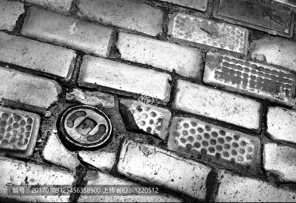 2007,/,2,/,21,13:34-匯圖網(wǎng) www.fosd68.com 2007,/,2,/,21,13:34