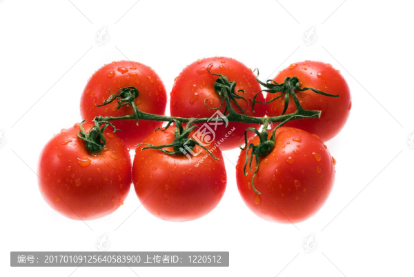 西紅柿