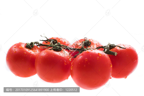西紅柿