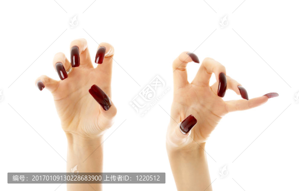 具有長指甲的侵略性的手
