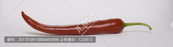 紅辣椒