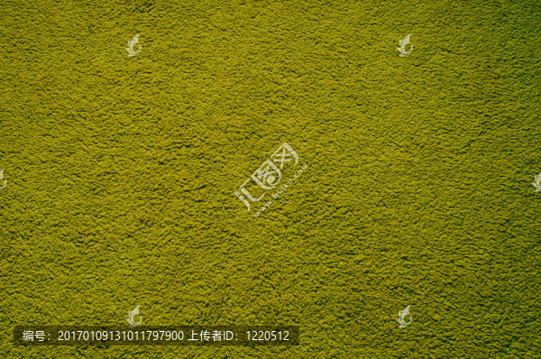 地毯紋理5
