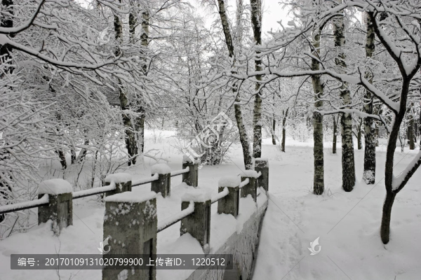 在暴風(fēng)雪