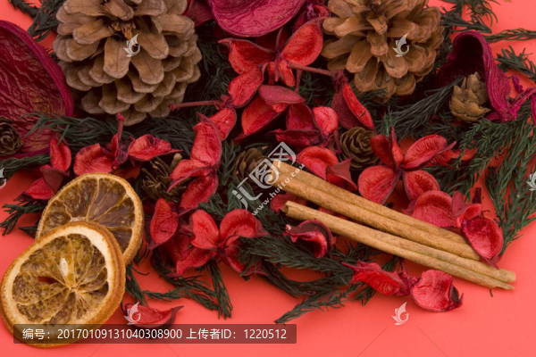 普通話；丁香