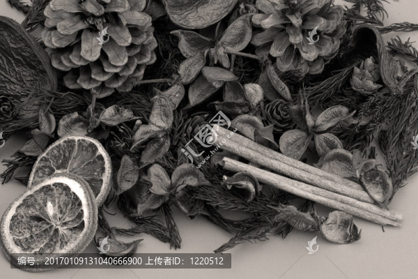 普通話；丁香