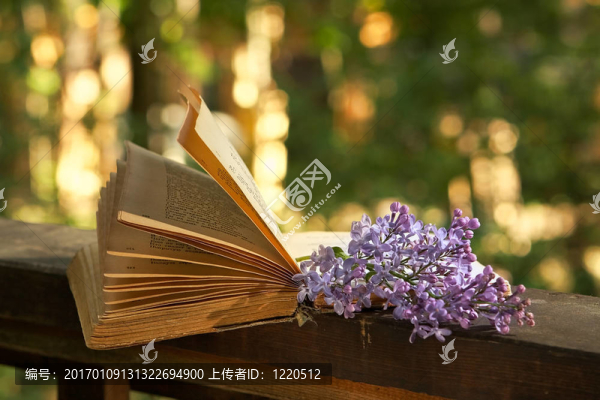 詩(shī)與紫丁香枝