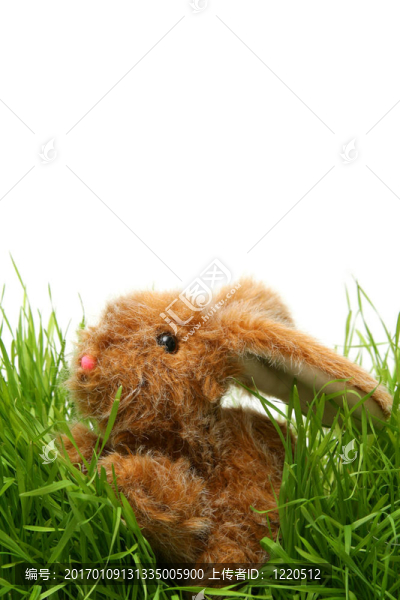 復(fù)活節(jié)兔子