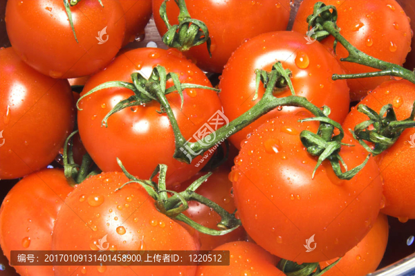 洗西紅柿