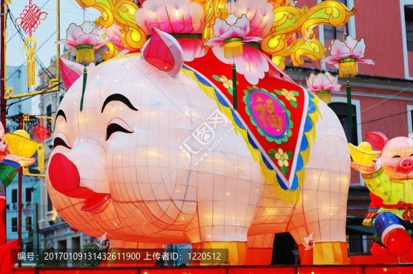 豬之年；中國生肖
