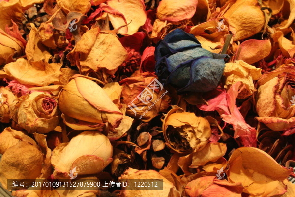 干香花