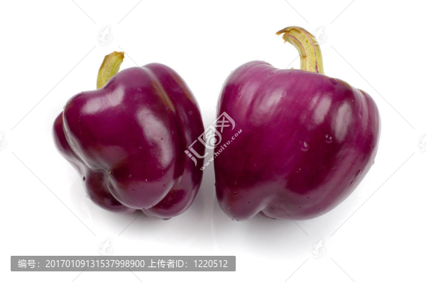 椒外