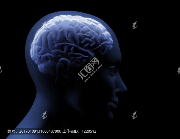 透明的大腦