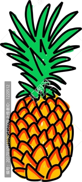 菠蘿