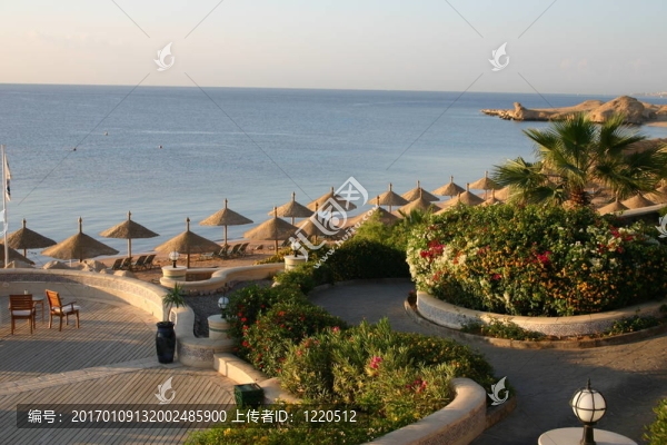 度假村的花園