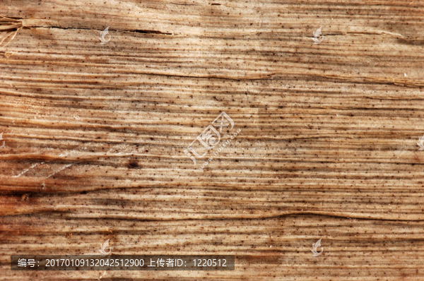 干香蕉葉