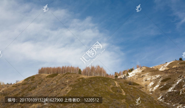 山
