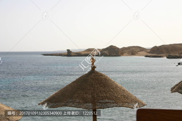 沙灘傘