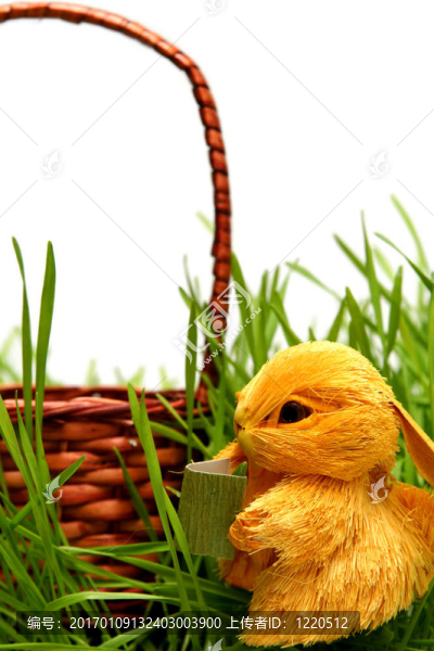 復(fù)活節(jié)兔子