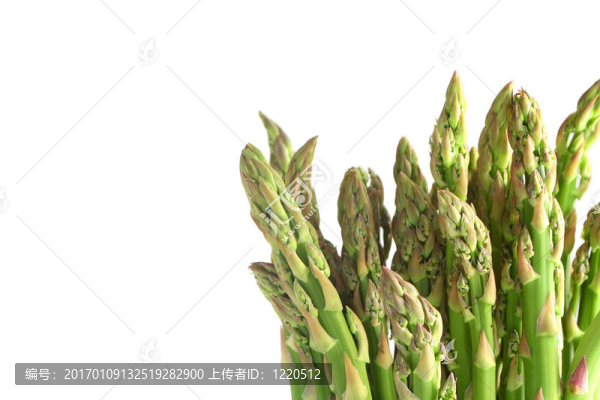 蘆筍