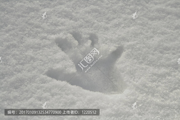 在雪中手工打印