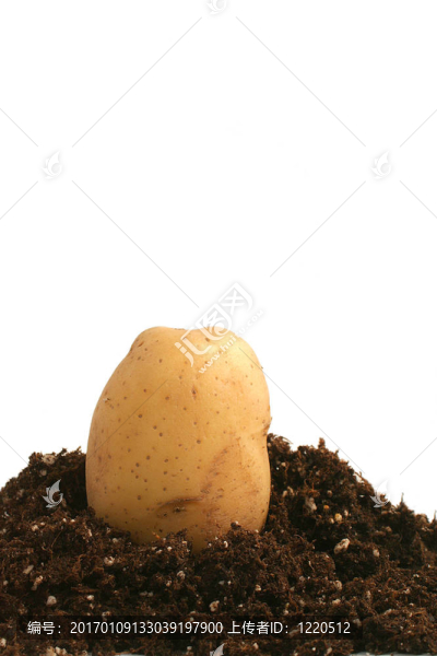 土豆泥