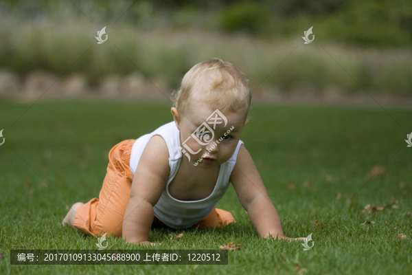 可愛的嬰兒在草地上爬行