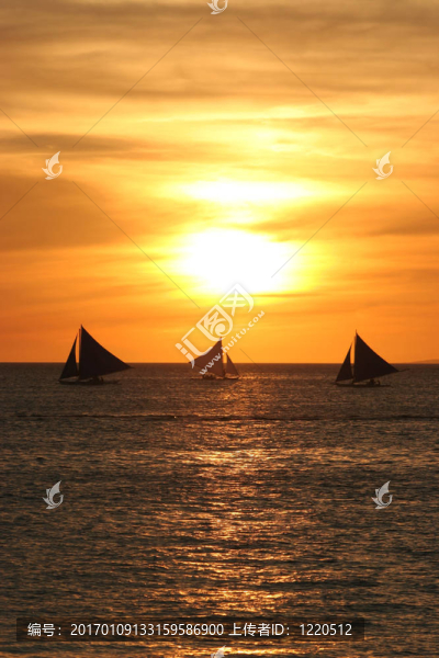 懶洋洋的夏日