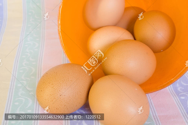 雞蛋-匯圖網(wǎng) www.fosd68.com 雞蛋