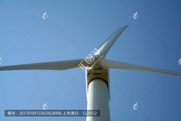 純粹的能量