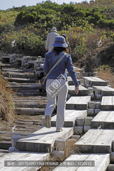 亞洲的旅行者