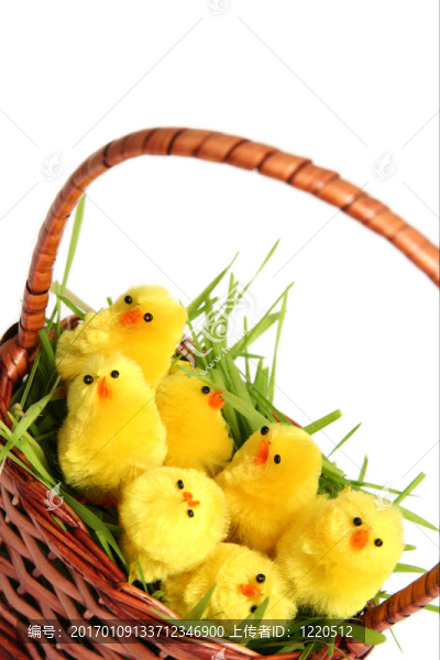 復(fù)活節(jié)小雞-匯圖網(wǎng) www.fosd68.com 復(fù)活節(jié)小雞