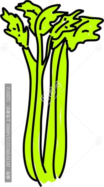 芹菜