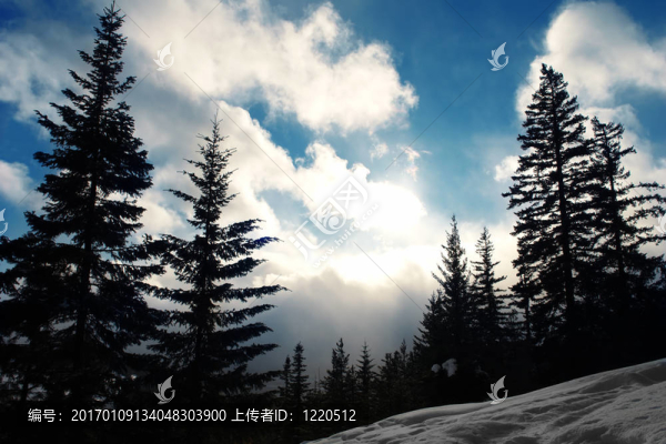 冬季景觀-匯圖網(wǎng) www.fosd68.com 冬季景觀