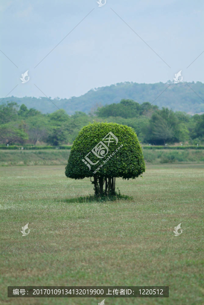 小形布什在一個(gè)領(lǐng)域