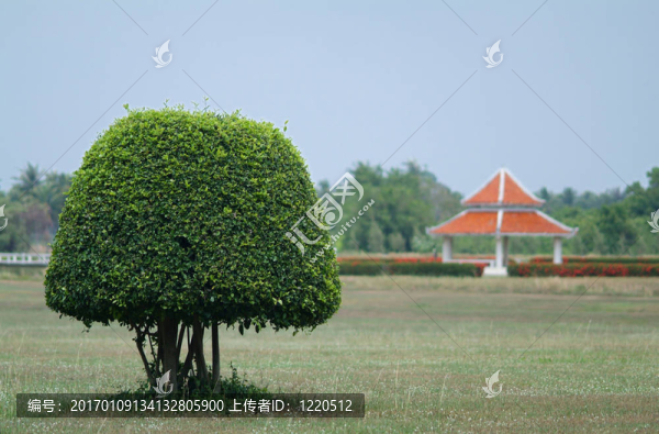 樹和中式房子-匯圖網(wǎng) www.fosd68.com 樹和中式房子