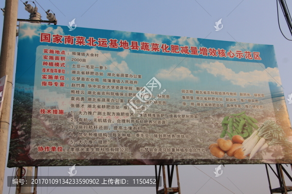 云夢(mèng)萬(wàn)畝馬鈴薯基地,（16）
