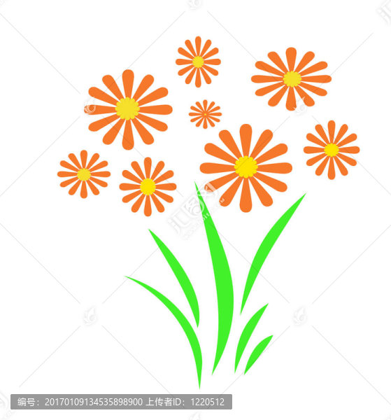 橙色的花