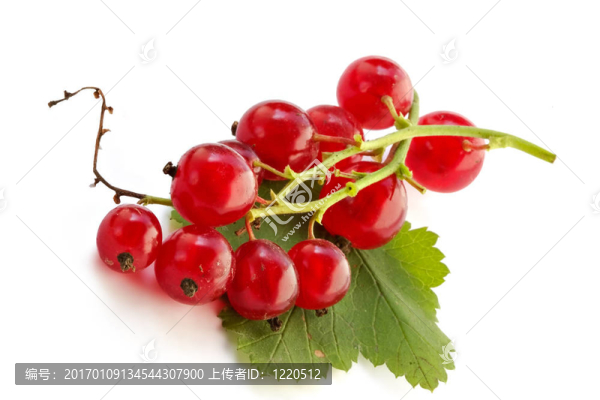 桌上的紅醋栗
