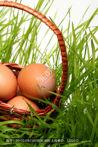 復活節(jié)彩蛋